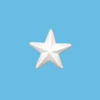 Stelle in polistirolo espanso 3D da 15 cm